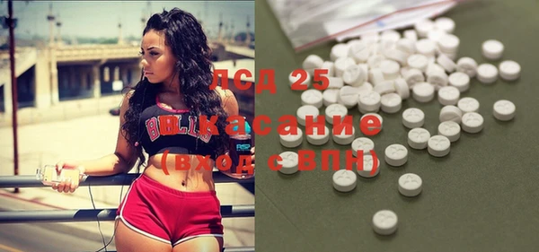 стаф Беломорск