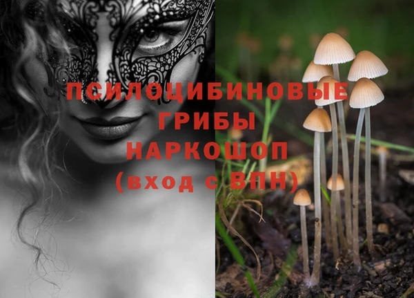 герыч Белокуриха