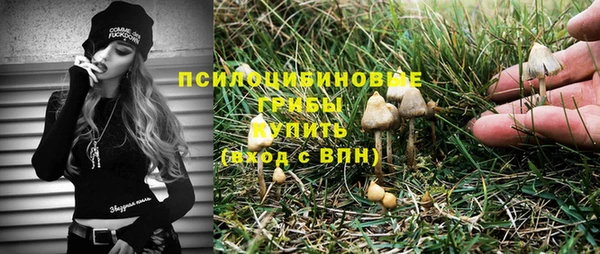 стаф Беломорск